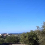 Land of 9000m² for sale in Pisaski Korifasio Peloponnese Messinia