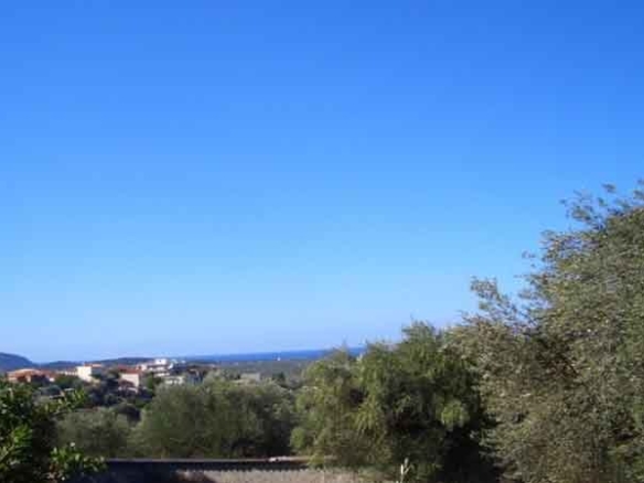 Land of 9000m² for sale in Pisaski Korifasio Peloponnese Messinia