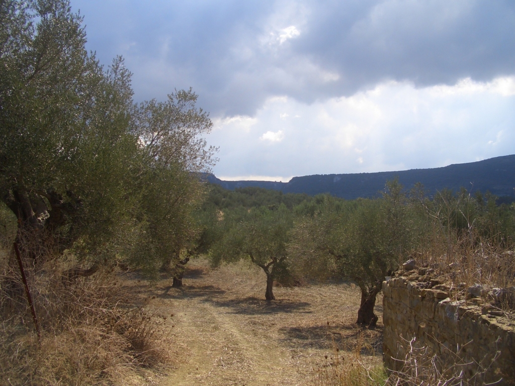 Grundstück zum verkaufen in Gialova Messenien Peloponnes