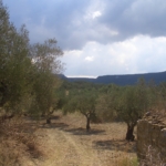Plot for sale in Gialova Messinia