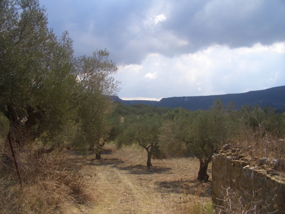 Plot for sale in Gialova Messinia