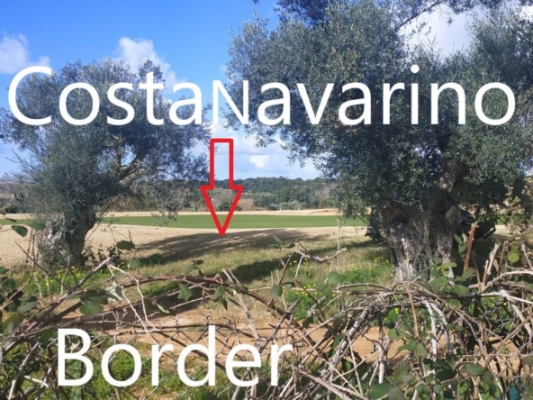 Land for sale in the village Romanos Messinia