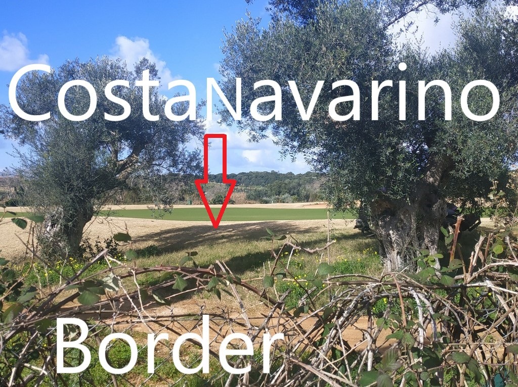 Land for sale in the village Romanos Messinia