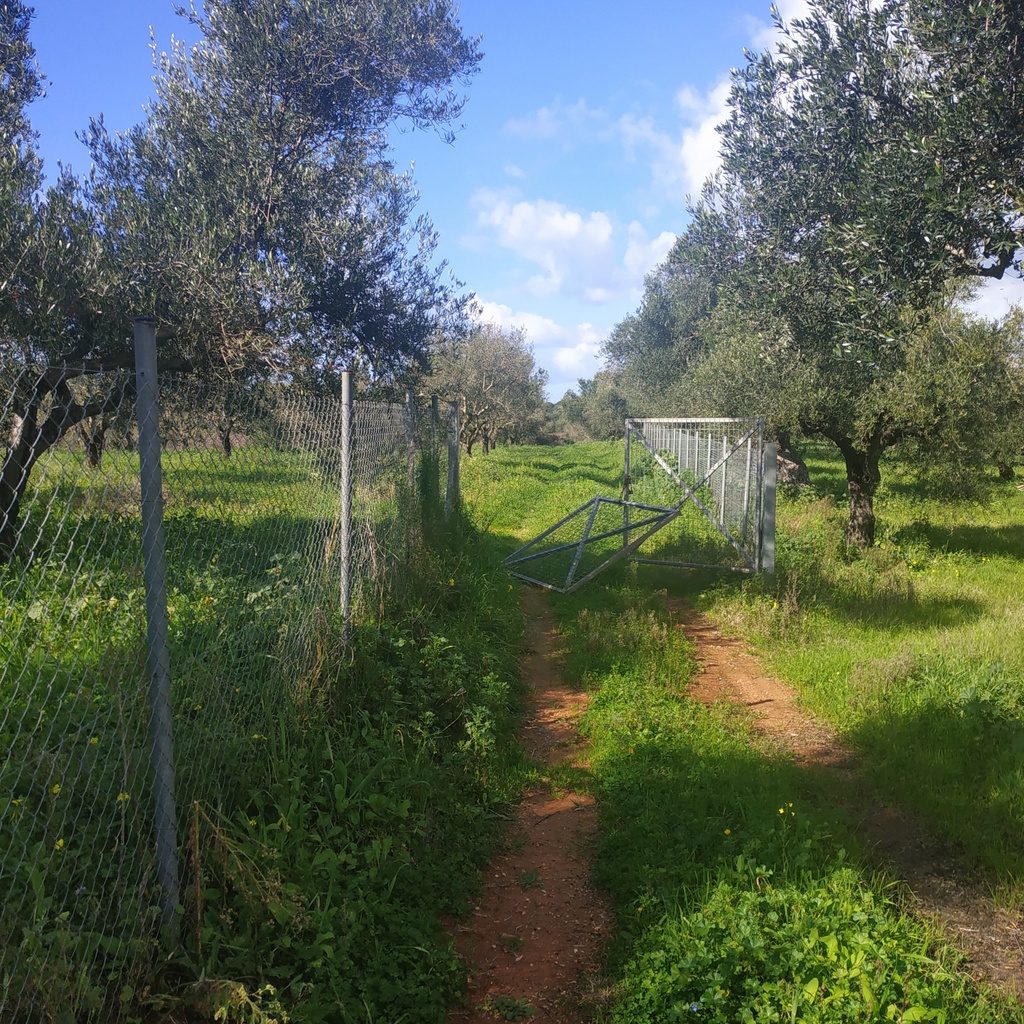 Πωλείται αγροτεμάχιο στο χωριό Ρωμανός σύνορο Costa Navarino