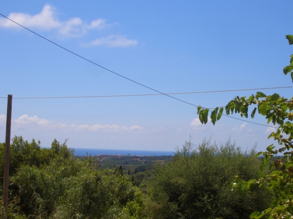 Plot for sale in Pisaski Korifasio Messinia Peloponnes