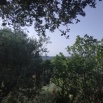IMG 20190710 185251 1