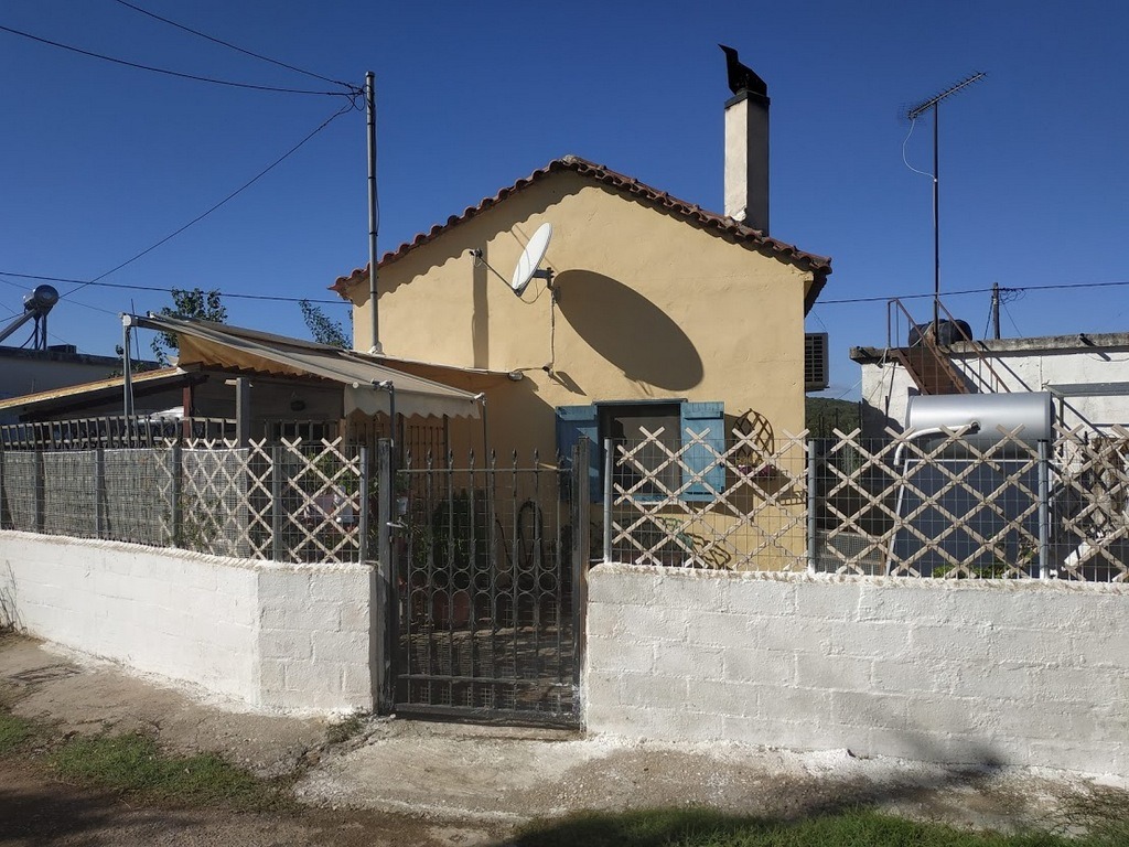 Einfamilienhaus zu verkaufen in Sgrapa / Elaiofyto Gialova Messenien Peloponnes