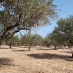 7 IMG 20230725 102337