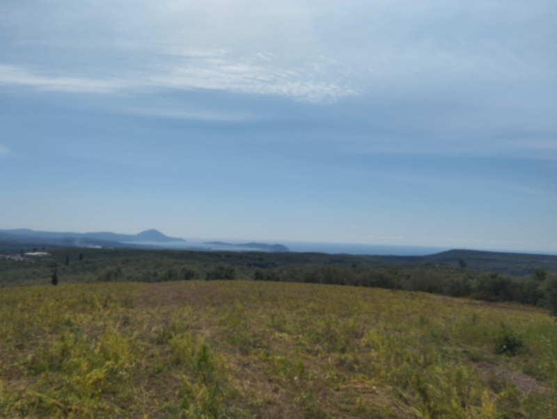 Land for sale in Pirgaki Trifilias Messinia