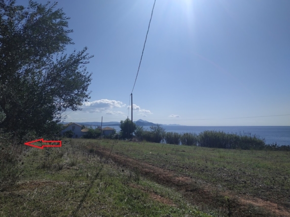 For sale land very closed to the sea in Vromoneri Messinia Peloponnes
