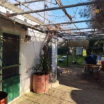 Land for sale in Petrohori Messinia