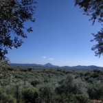 For sale land in Tragana Messinia Peloponnes