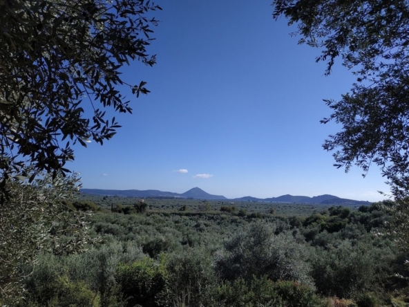 For sale land in Tragana Messinia Peloponnes