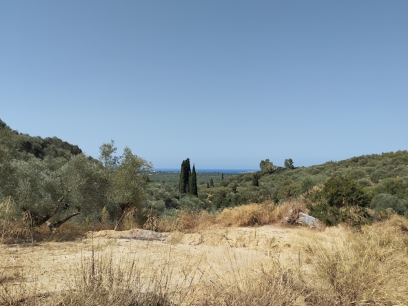 Πωλείται οικόπεδο στο Πισάσκι Μεσσηνίας (REF482) 12 Grundstück zum verkaufen in Pisaski Messinia