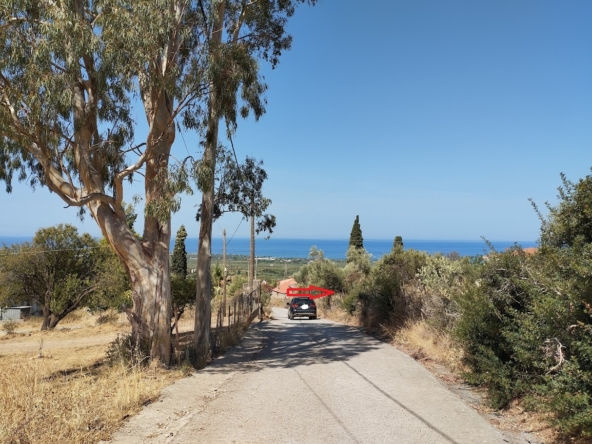 Πώληση οικοπέδου στο Στασιό Κυπαρισσίας (REF485) 6 Grundstück in Stasio Kyparissia zu verkaufen