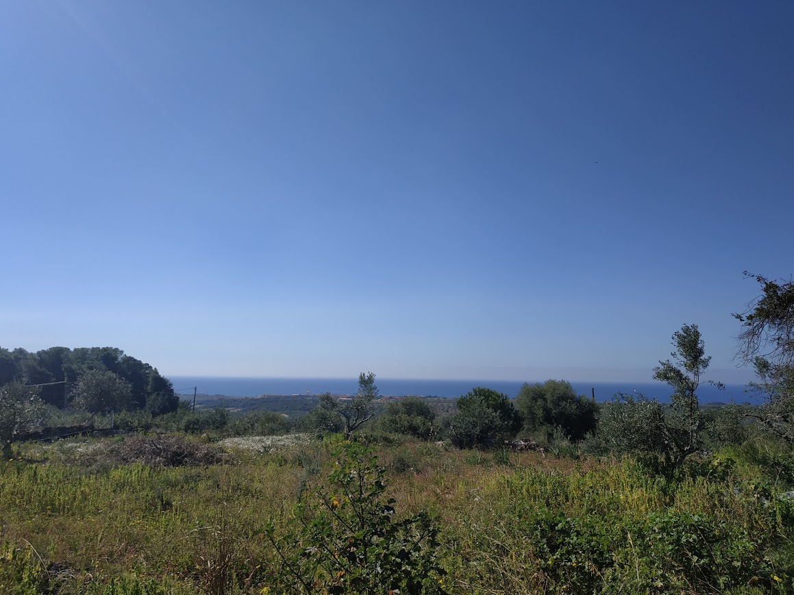 Οικόπεδο 3.135,83 τ.μ. στην Τραγάνα Μεσσηνίας με θέα θάλασσα, κτίζει 200 τ.μ., 1 χλμ. από Costa Navarino και 5′ από τις αμμώδεις παραλίες Χρυσή Ακτή και Ρωμανός.