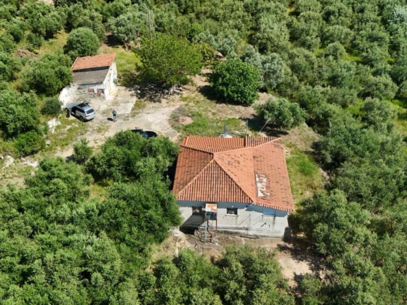 Zum verkauf ein Einfamilienhaus Nähe Marathopoli Messinien